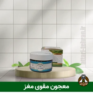 معجون مقوی معز